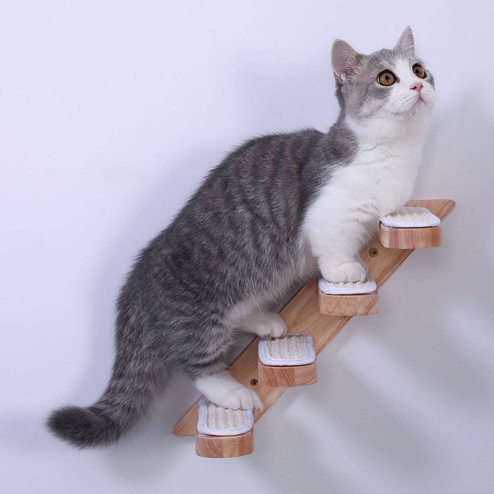 Escadas e Coluna de Parede para Gatos
